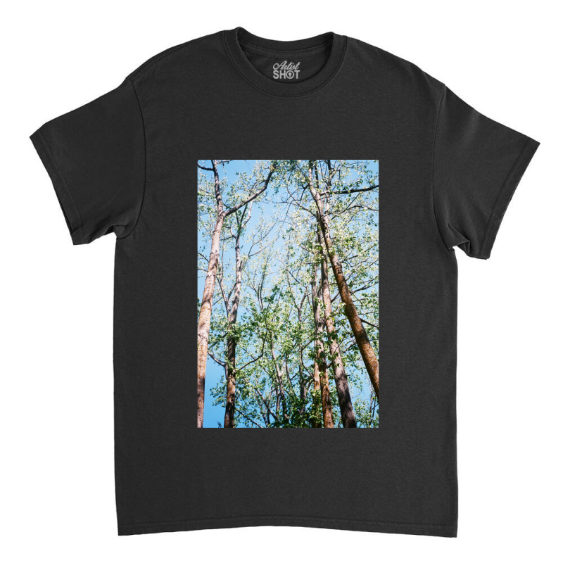 Mystic Forest Classic T-shirt by KarrieLBreuer | Artistshot