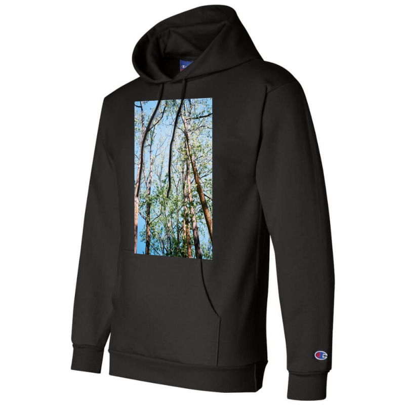 Mystic Forest Champion Hoodie by KarrieLBreuer | Artistshot