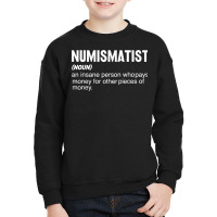 Coin Collecting   Funny Numismatist Noun Coin Lover T Shirt Youth Sweatshirt | Artistshot