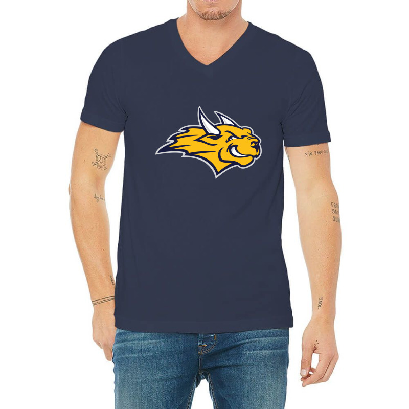 Webster University V-neck Tee | Artistshot