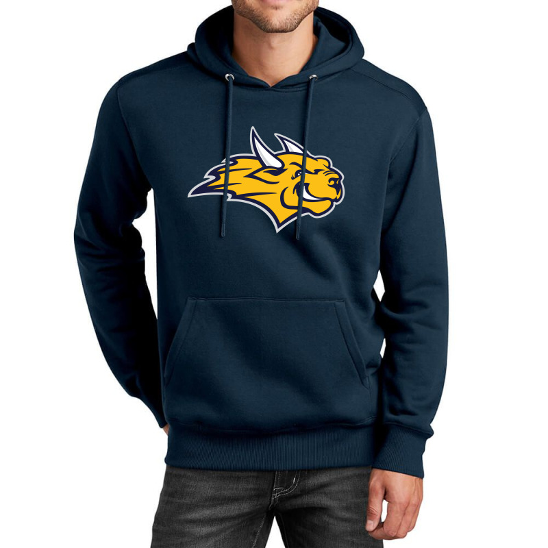 Webster University Unisex Hoodie | Artistshot