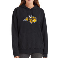 Webster University Vintage Hoodie | Artistshot