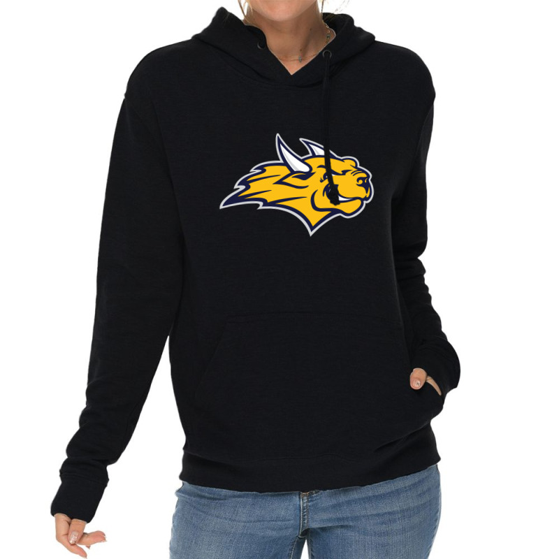 Webster University Lightweight Hoodie | Artistshot