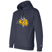 Webster University Champion Hoodie | Artistshot