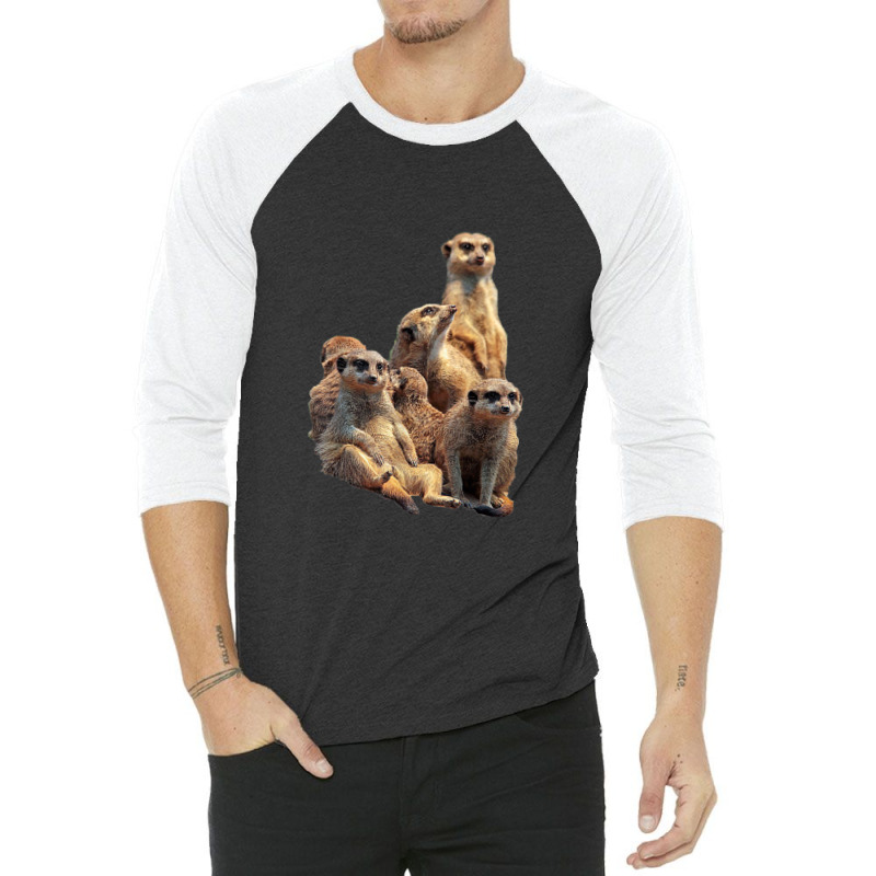 Lettertrunk Meerkat Family In The Kalahari Desert 3/4 Sleeve Shirt | Artistshot