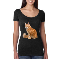 Cat-ltskn Women's Triblend Scoop T-shirt | Artistshot