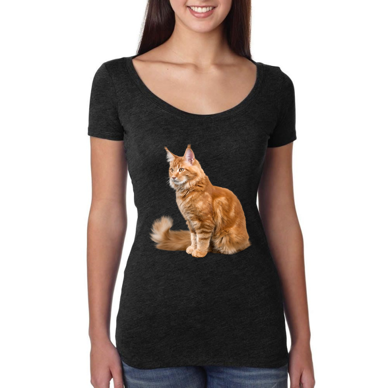 Cat-ltskn Women's Triblend Scoop T-shirt by Mary Hatton | Artistshot