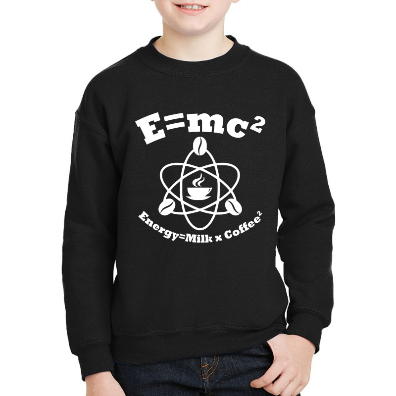 Energy Chemistry Gift Chemist Science Youth Sweatshirt | Artistshot