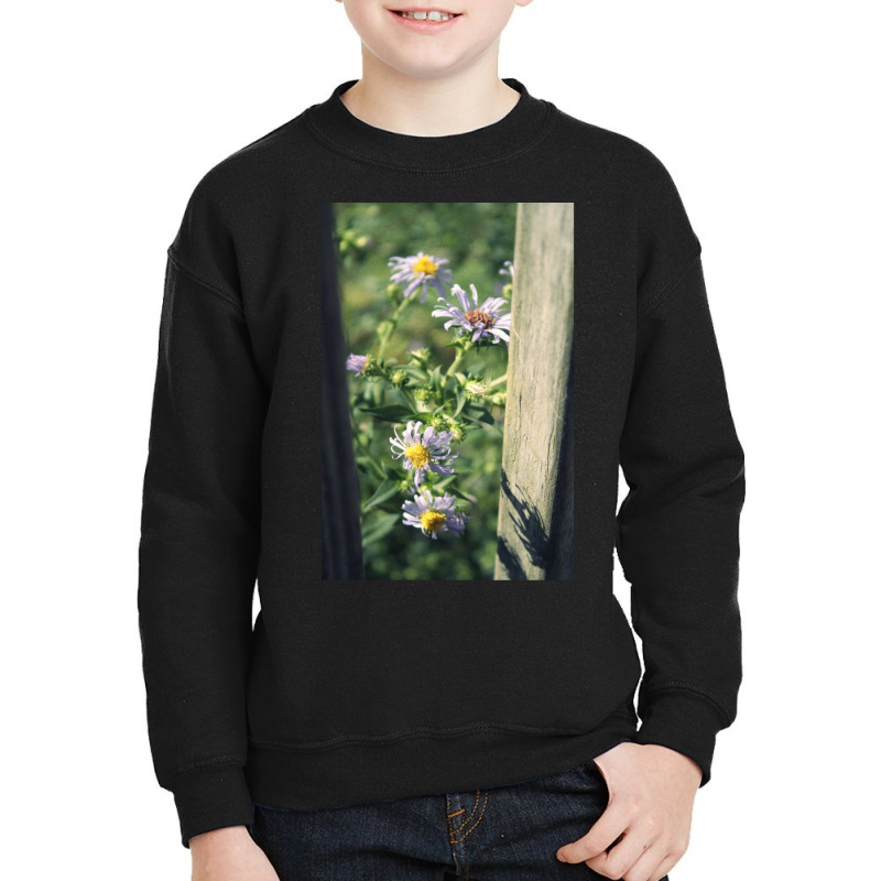 Porch Rail Aster Youth Sweatshirt by AcostaLopezJuan | Artistshot