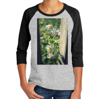 Porch Rail Aster Youth 3/4 Sleeve | Artistshot