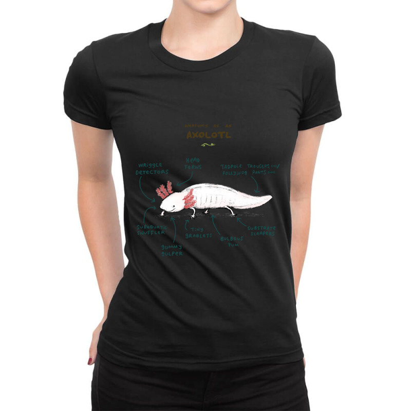 Anatomy Of An Axolotl Ladies Fitted T-Shirt by Min09 | Artistshot