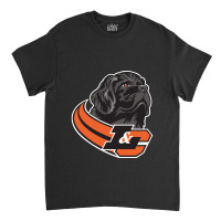 Lewis & Clark Academic Classic T-shirt | Artistshot