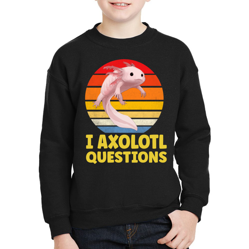 I Axolotl Questions Man And Woman Axolotl Lovers Youth Sweatshirt by Min08 | Artistshot