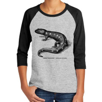 Spotted Salamader - Vintage Scientific Illustration Youth 3/4 Sleeve | Artistshot