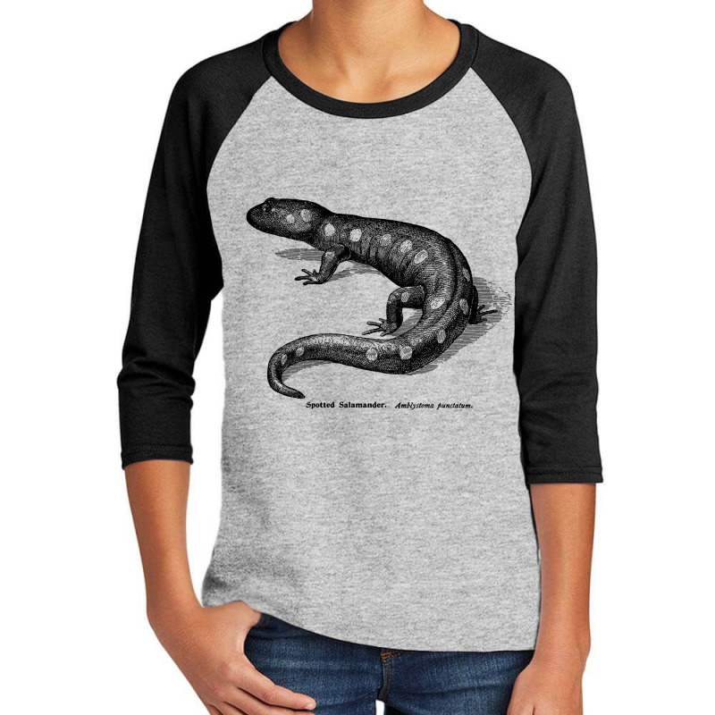 Spotted Salamader - Vintage Scientific Illustration Youth 3/4 Sleeve by Min08 | Artistshot