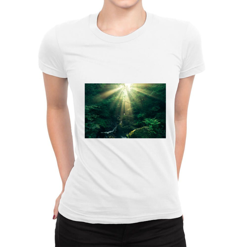 Divine Art Ladies Fitted T-Shirt by AllenSCrowley | Artistshot