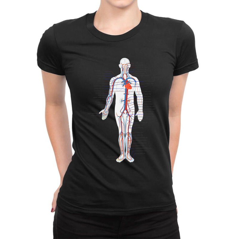 Circulatory System Anatomy Chart Arteries Veins Ladies Fitted T-Shirt by Aliceartist | Artistshot