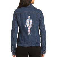 Circulatory System Anatomy Chart Arteries Veins Ladies Denim Jacket | Artistshot