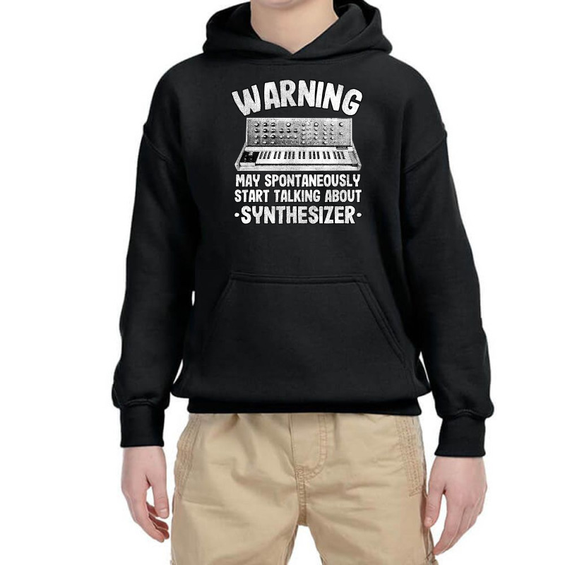 Funny Warning May Talk About Synthesizer Analog Youth Hoodie | Artistshot