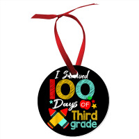 Colors Survived 100th Day Of 3rd Grade 100 Days Of School T Shirt Ornament | Artistshot