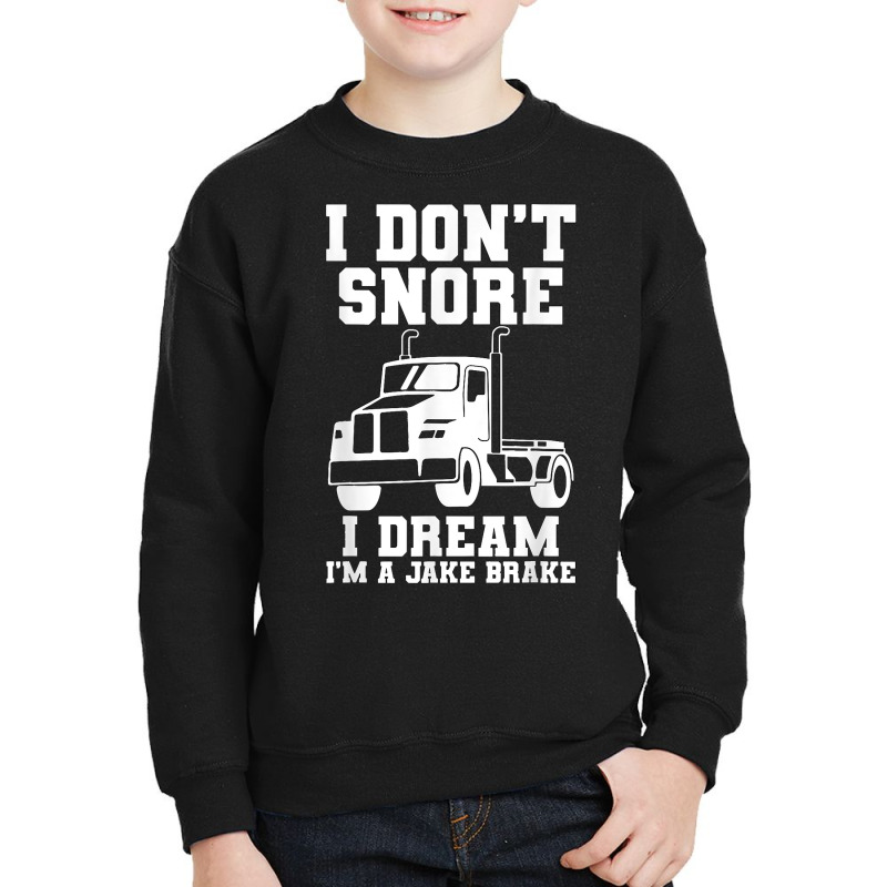 I Don't Snore I Dream I'm A Jake Bake Trucker Truck Driver T Shirt Youth Sweatshirt | Artistshot