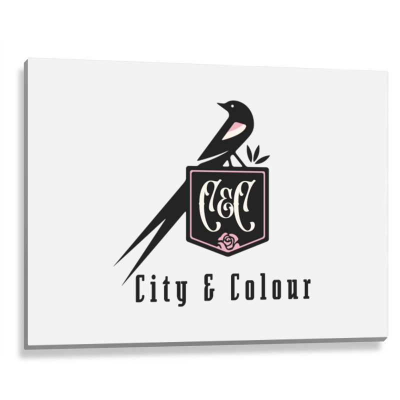 City And Colour, Wonderful Indie Rock   Folk Inspired Singer Songwrite Metal Print Horizontal | Artistshot