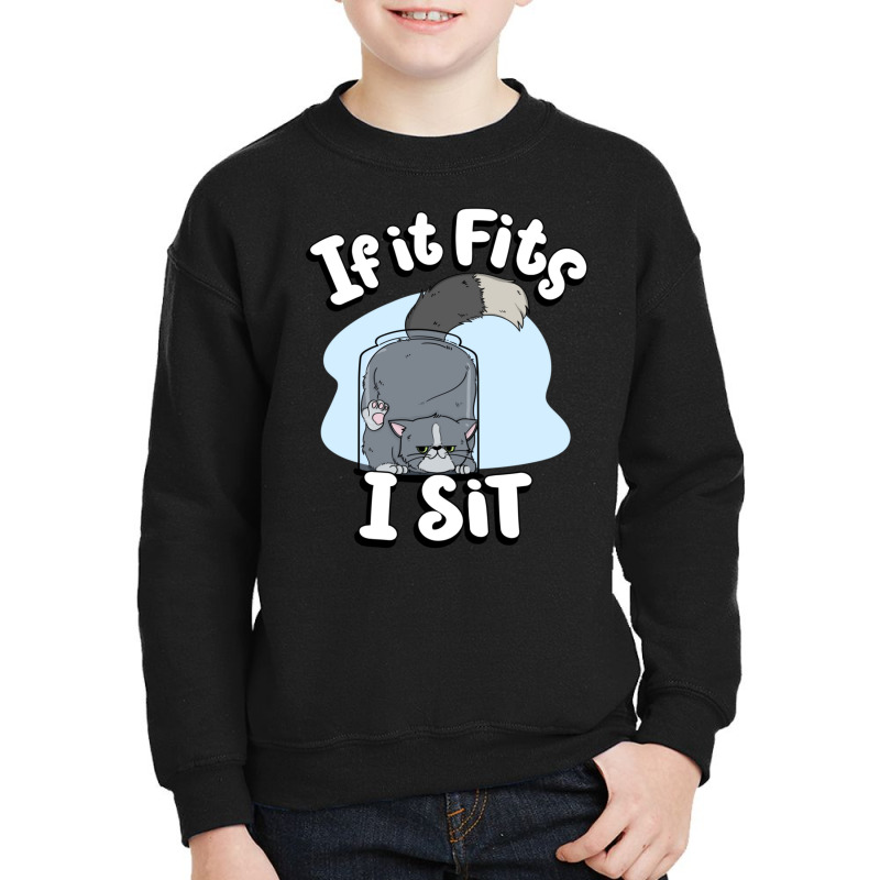 If It Fits I Sit Cute Canister Cat Fitness Animal Lover Youth Sweatshirt | Artistshot