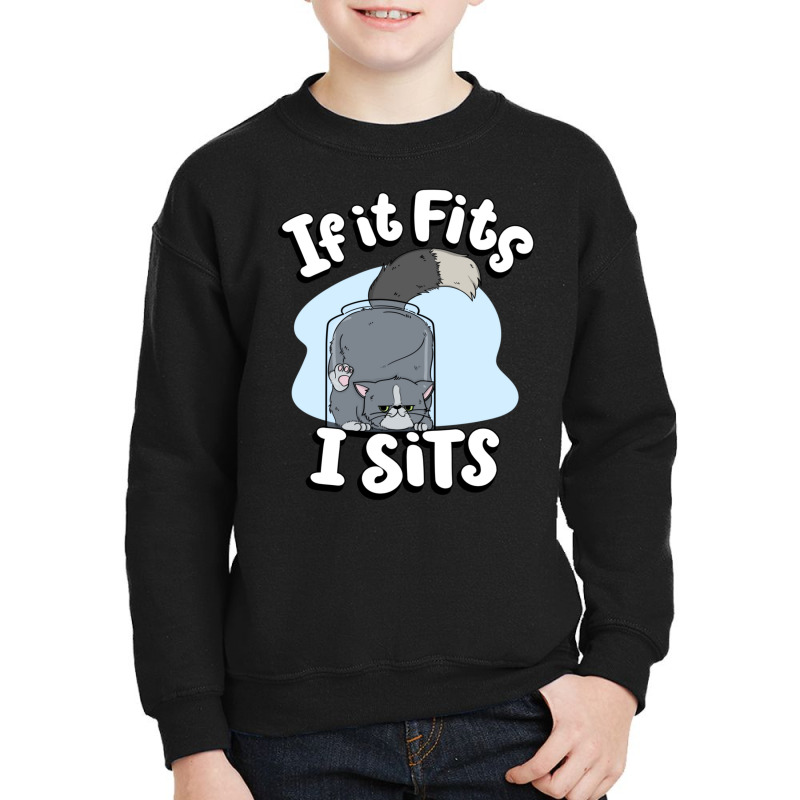 If It Fits I Sits Cute Canister Cat Fitness Animal Lover Youth Sweatshirt | Artistshot