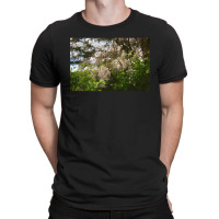 Granite Belt Flowers On 35mm Film 2 T-shirt | Artistshot