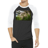 Granite Belt Flowers On 35mm Film 2 3/4 Sleeve Shirt | Artistshot