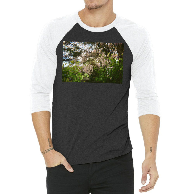 Granite Belt Flowers On 35mm Film 2 3/4 Sleeve Shirt | Artistshot