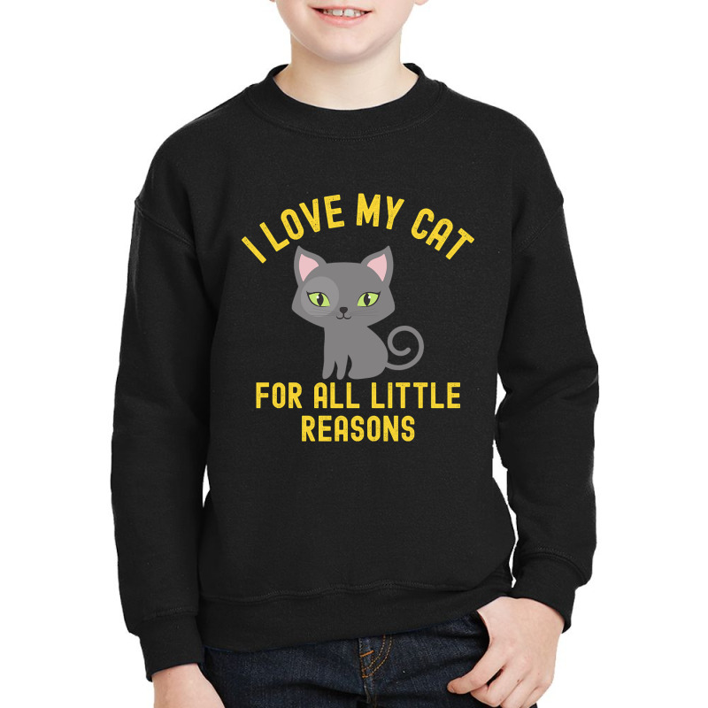 I Love My Cat For All Little Reasons Youth Sweatshirt | Artistshot