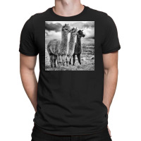 Lama Lineup T-shirt | Artistshot