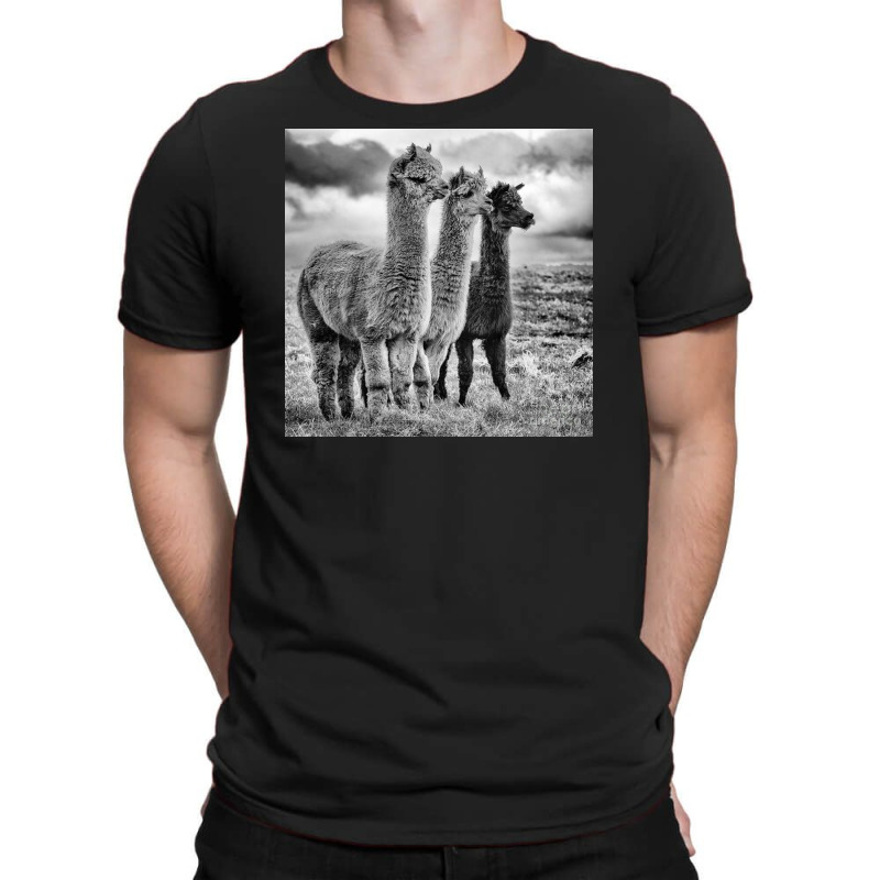 Lama Lineup T-shirt | Artistshot