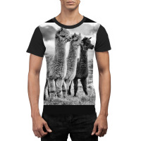 Lama Lineup Graphic T-shirt | Artistshot