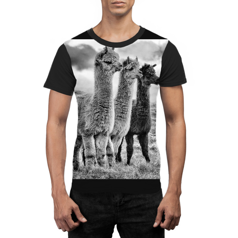 Lama Lineup Graphic T-shirt | Artistshot