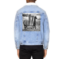 Lama Lineup Unisex Sherpa-lined Denim Jacket | Artistshot