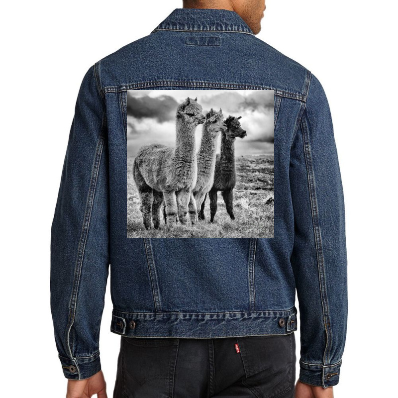 Lama Lineup Men Denim Jacket | Artistshot