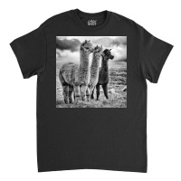 Lama Lineup Classic T-shirt | Artistshot