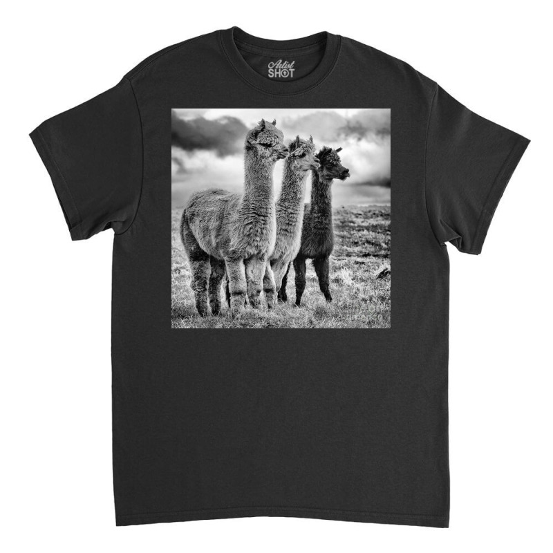 Lama Lineup Classic T-shirt | Artistshot