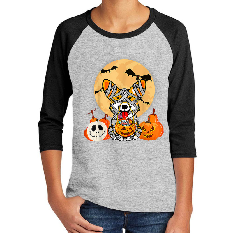 Cute Halloween Costume Welsh Corgi Mummy Dog Lover Design Youth 3/4 Sleeve | Artistshot