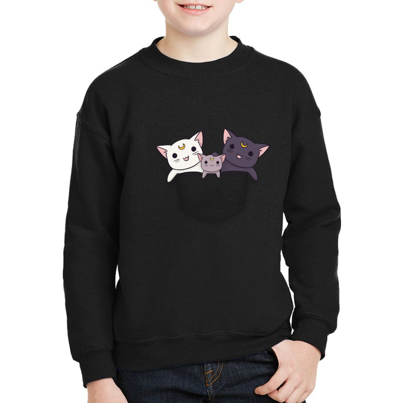 Pocket Lunar Family Youth Sweatshirt | Artistshot