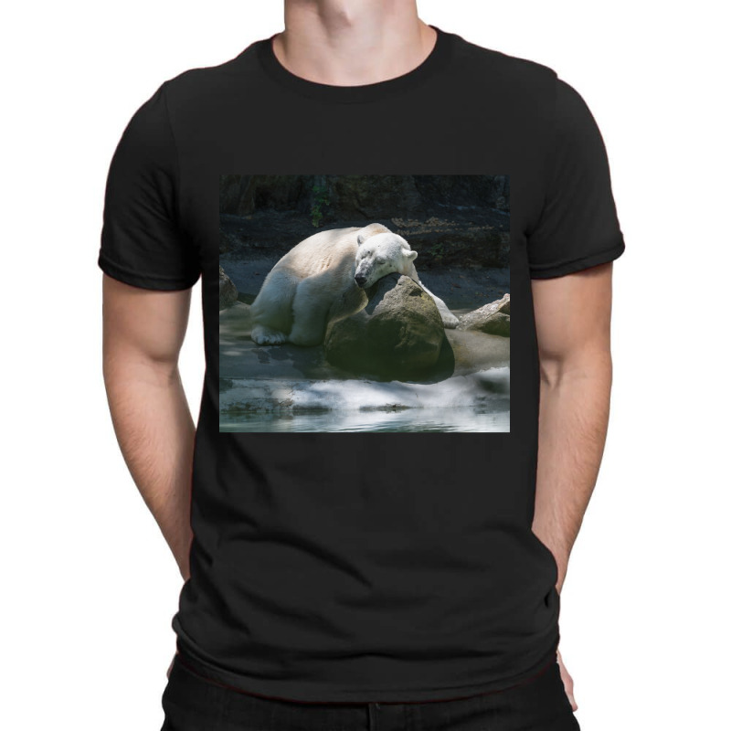 Tundra Taking A Little Nap After A Hard Day. T-shirt | Artistshot