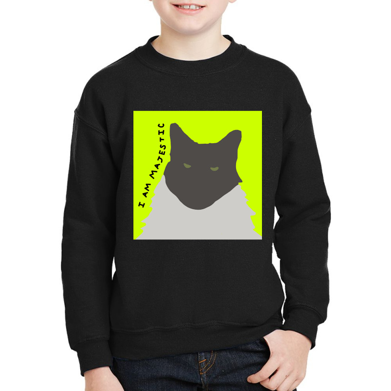 I Am Majestic Abstract Cat Youth Sweatshirt | Artistshot