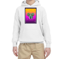 Limited Edition Abstracr Elephant Youth Hoodie | Artistshot