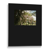 Granite Belt On 35mm Film 3 Metal Print Vertical | Artistshot