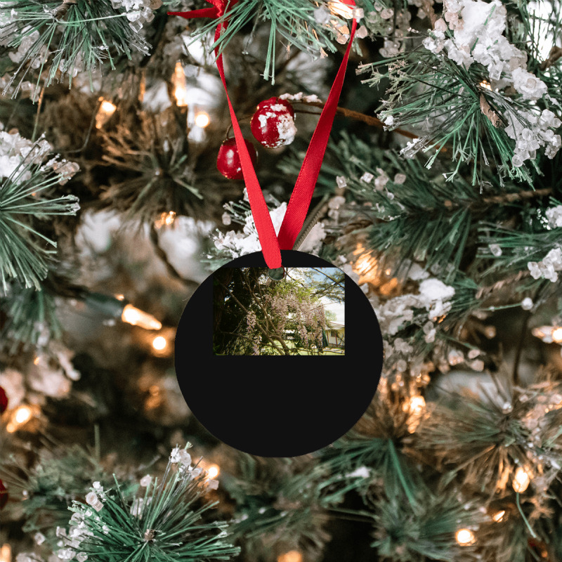 Granite Belt On 35mm Film 3 Ornament | Artistshot