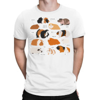 Guinea Pig Breeds   Costume Clothing Accessories T-shirt | Artistshot