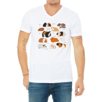 Guinea Pig Breeds   Costume Clothing Accessories V-neck Tee | Artistshot