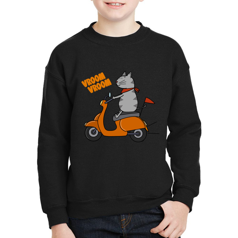 Trending Grey Cat On A Scooter Youth Sweatshirt | Artistshot